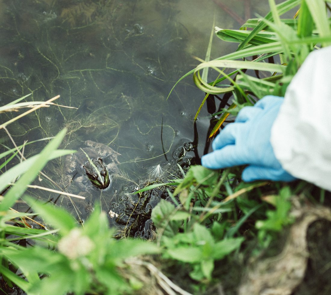 Environmental sampling of a water body